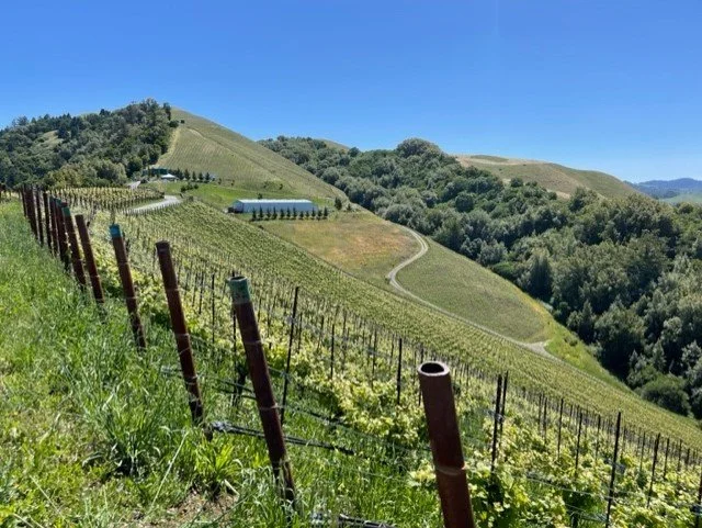 The Magic of the Santa Cruz Mountains