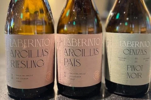 Laberinto’s Highly Rated Sauvignon Blanc Is Just the Tip of the Iceberg