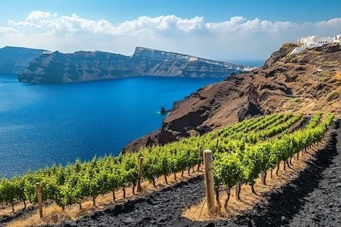 Santorini’s Sun-Kissed Wines from Its Star Grape: Assyrtiko