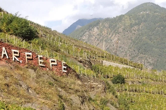 Ar.Pe.Pe. – Nebbiolo’s Mountain Soul