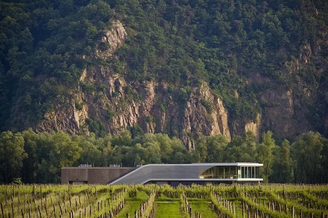 2023 FX Pichler-Reference Point Wines of Austria