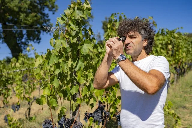 RVB_SAN_POLINO_OCT_DAY_2_GRAPES_BRIX_CANTINA-0016.jpg