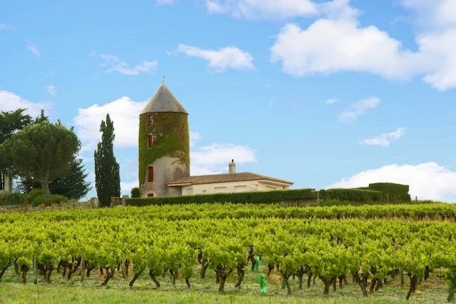 Muscadet: Loire Valley's Freshest White Is Still Under the Radar