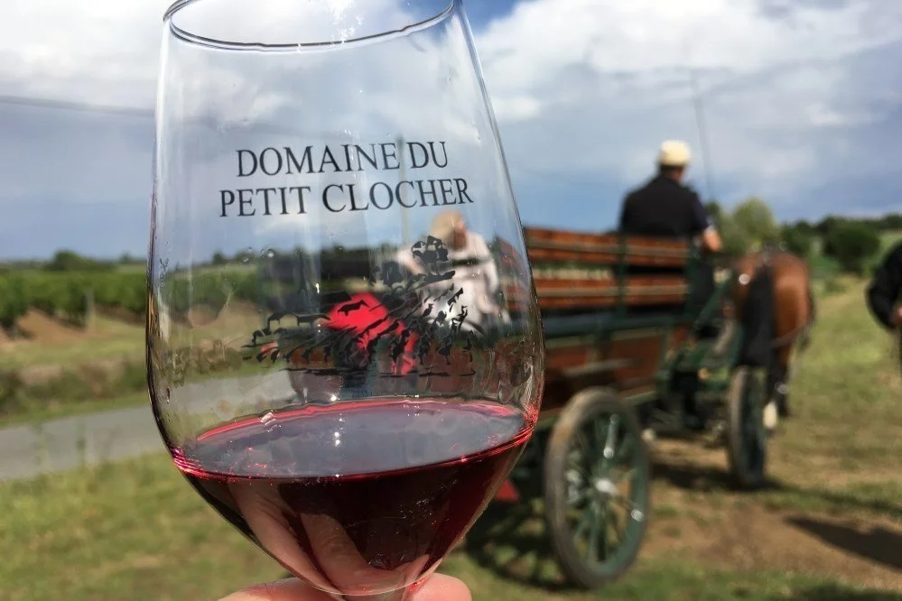 Why You Need More Chenin Blanc in Your Life