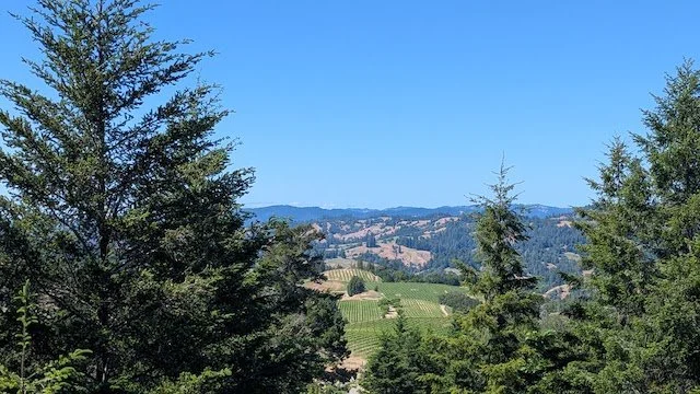 PXL_20250519_222851637.jpg