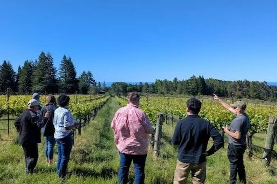 There and Back Again: The Far Reaches of the West Sonoma Coast