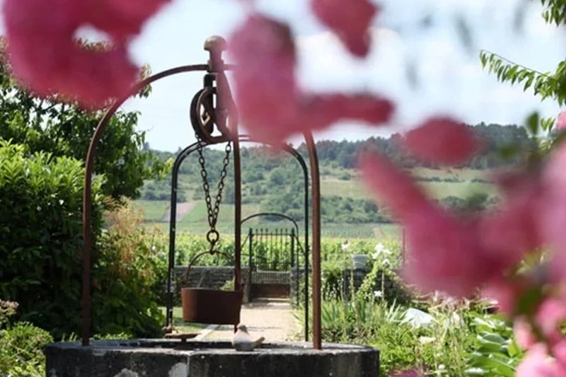 Domaine Etienne Sauzet: A Titan of Puligny-Montrachet