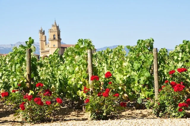 100 Years of Rioja