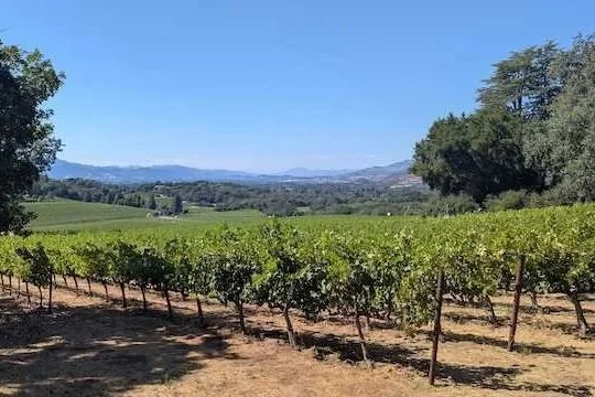 Here's What's New In Domestic Wine!