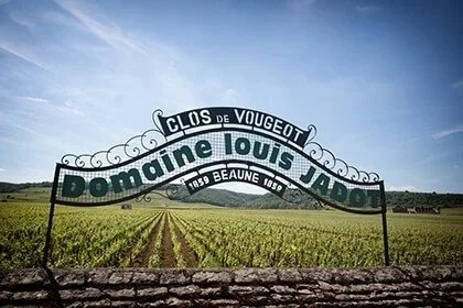 The Stunning 2023s from Louis Jadot