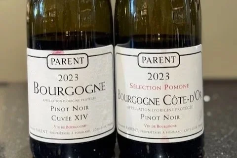 New Releases from Three Rising Star Burgundy Domaines