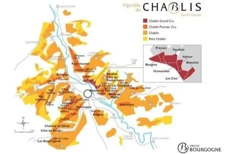 Agnès Gleizes Gives Us a Grand Tour of Premier Cru Chablis Terroir