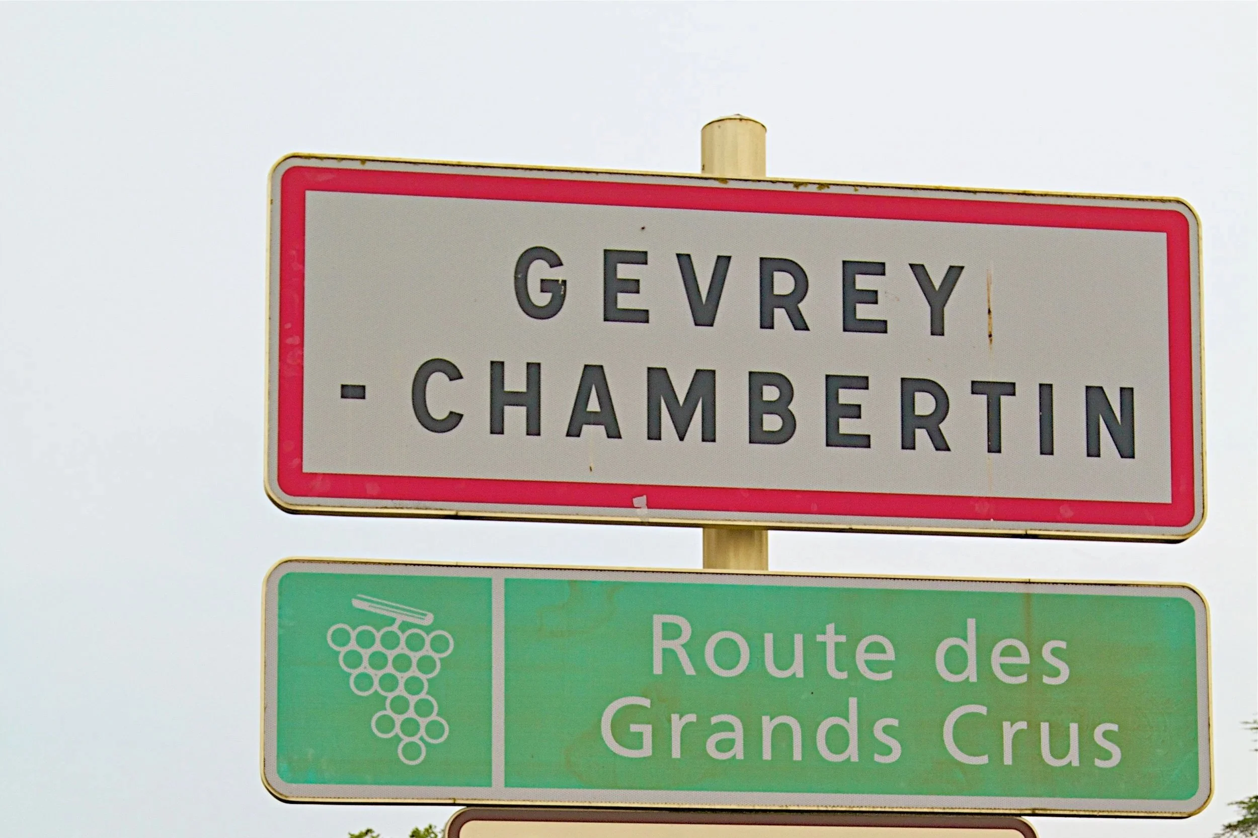 Burgundy Buying Guide: Top Collectibles, 1er Cru Values, Auction Highlights