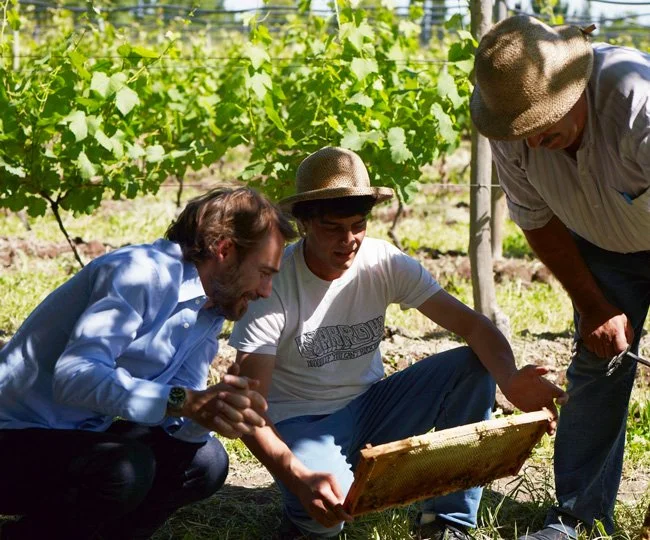 Biodynamic Elegance in Argentina: Bodega Chacra