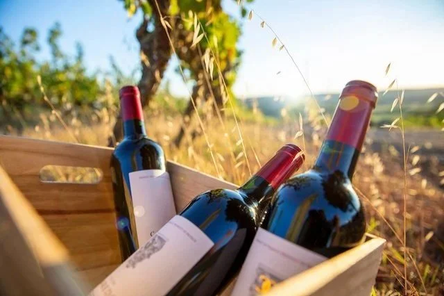 All Things Bordeaux