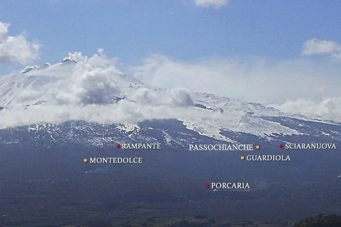 Passopisciaro: The Vision of Andrea Franchetti