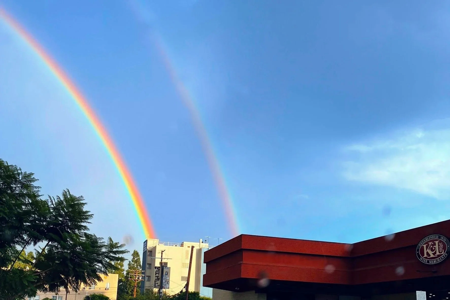 State of K&amp;L: A Turbulent but Resilient 2025, and a Golden Anniversary