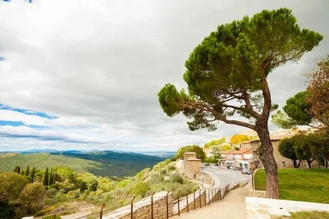 2021 Brunello: A Return to Classicism