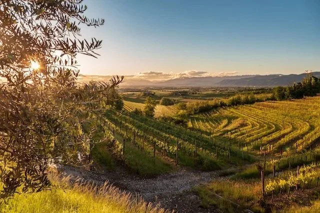 Discover the Latest Italian Gems and Benchmarks