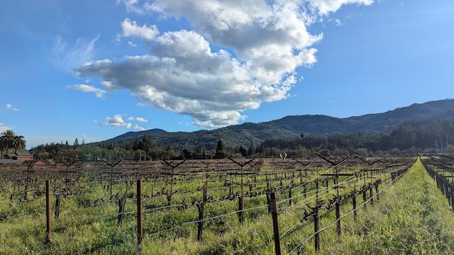 PXL_20260221_000740695.jpg