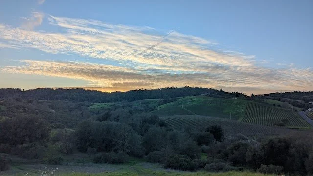 PXL_20260221_014319926.jpg