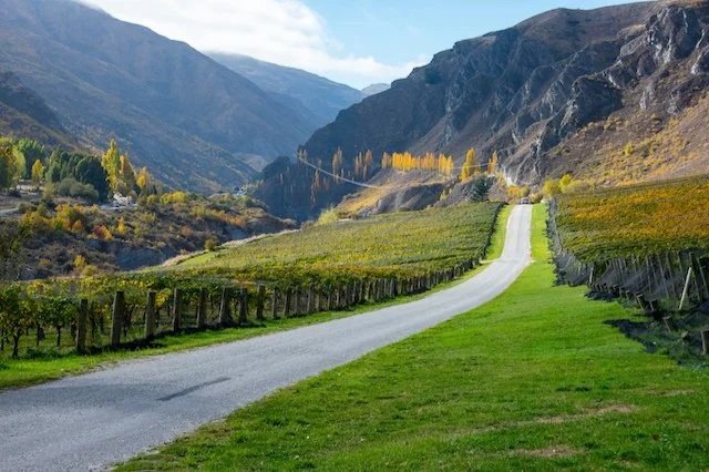 Elegance Reimagined: Chardonnay and Pinot Noir from Australia and New Zealand