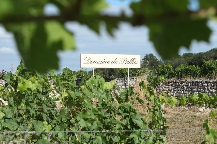 The Soul of Chinon at Domaine de Pallus