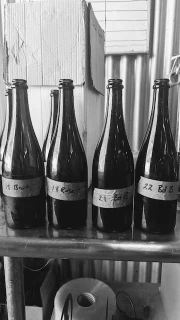 Bottling_Anonymous_Sparkling_Wine.jpg
