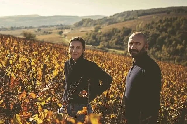 Marc Colin 2024: The Complete Côte de Beaune