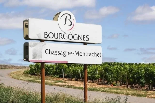 2024 White Burgundy: Crystalline, Precise, and Built to Age