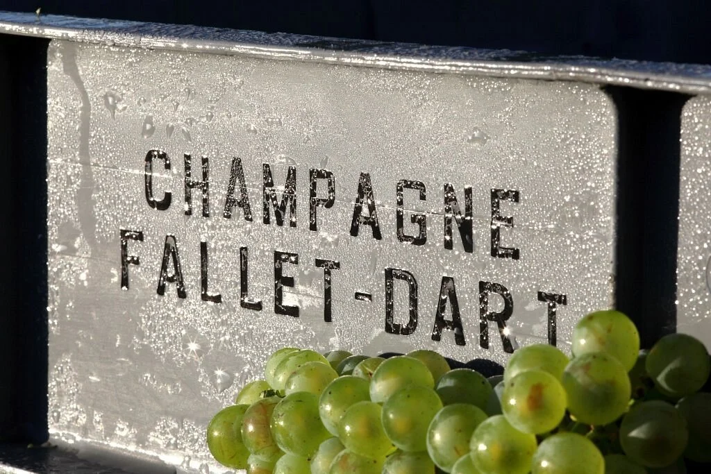 Fallet-Dart: A Grower Making Champagne Since 1610