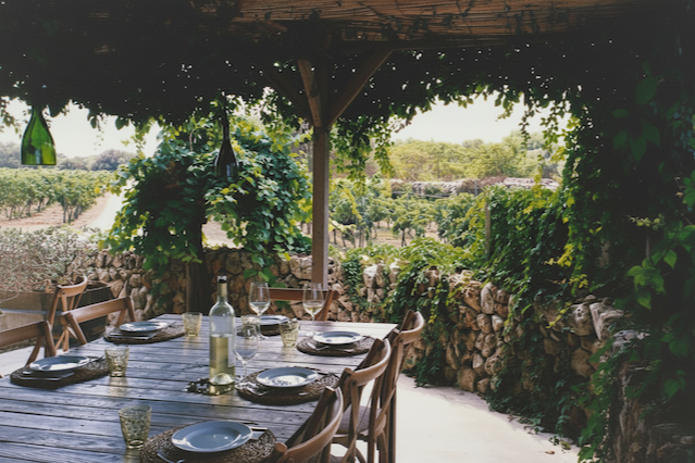 Read on the trail blog 'Spain for Summer: Albariño, Cava, Txakolina and Chillable Reds'