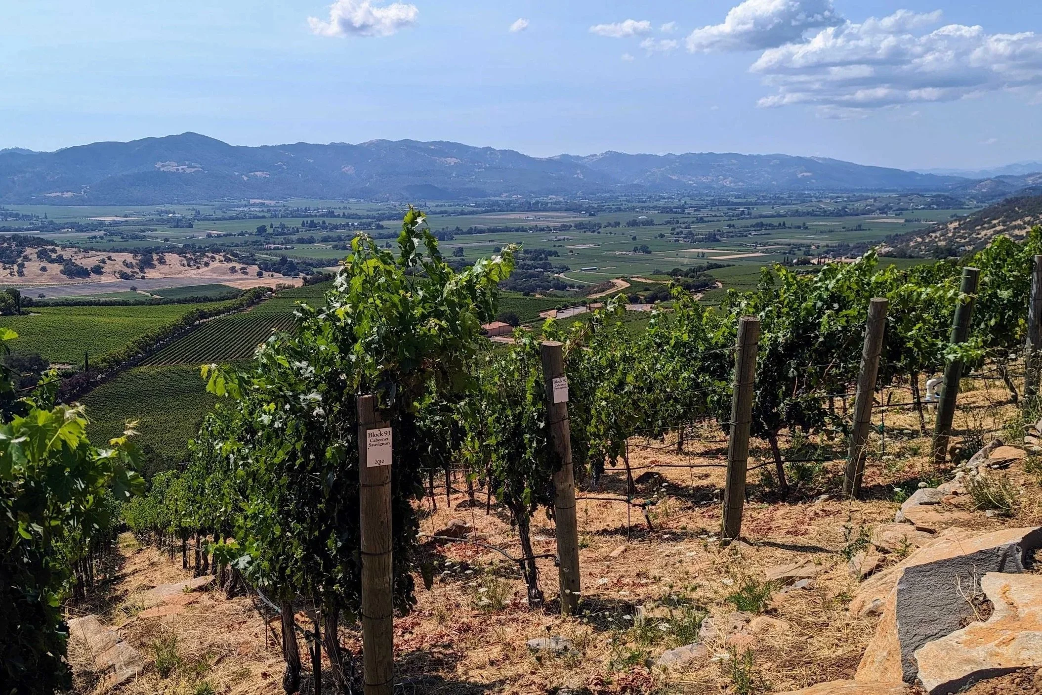 Read on the trail blog '2023 Napa Valley: A Vintage for the Ages'