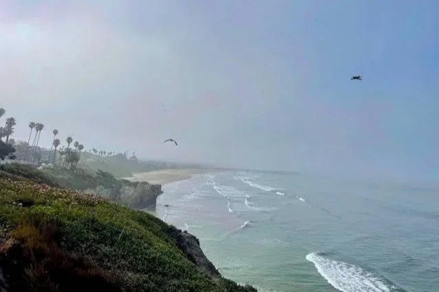 Read on the trail blog 'California Newsletter: A Stellar Napa Vintage, Cool and Coastal, Best Crushable Deals'