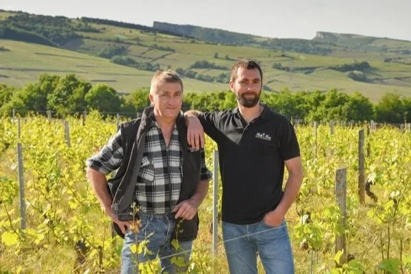 2024 Château Vitallis: The Best Value in White Burgundy? 