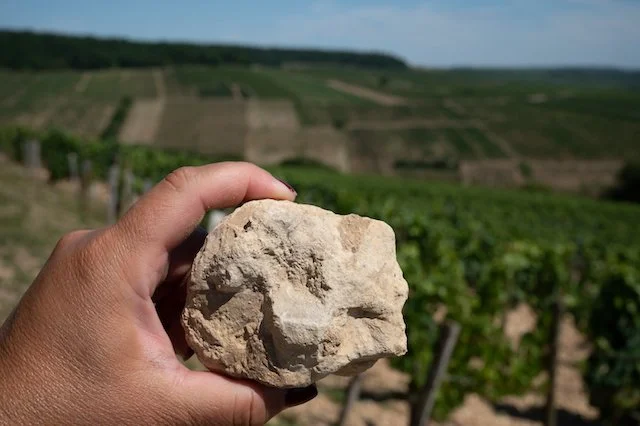 2024 Samuel Billaud Chablis: A Vintage to Rival the Legendary 2014