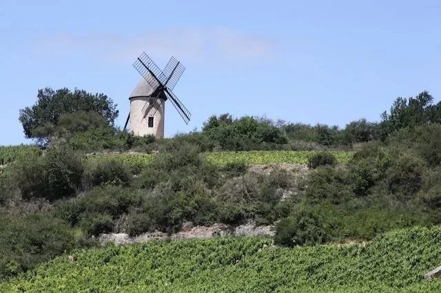 Domaine Marc Morey: Classic Chassagne-Montrachet at Its Finest