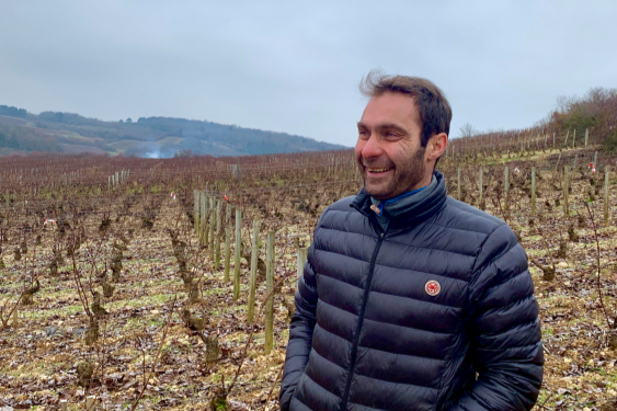 2024 Domaine Joseph Colin: His Best Wines Yet