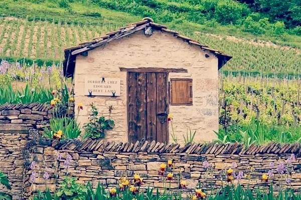 Read on the trail blog '2023 Domaine Hubert Lamy: Don't Hesitate'