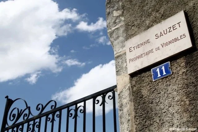 Read on the trail blog '2024 Domaine Etienne Sauzet: The Epitome of Puligny-Montrachet'