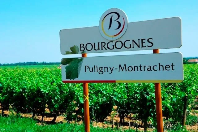 Burgundy: For the Fridge and For the Cellar