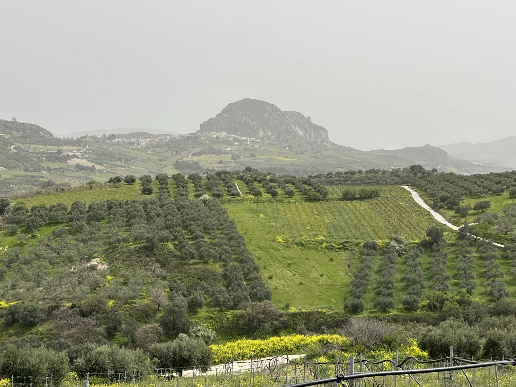 Beyond Assyrtiko