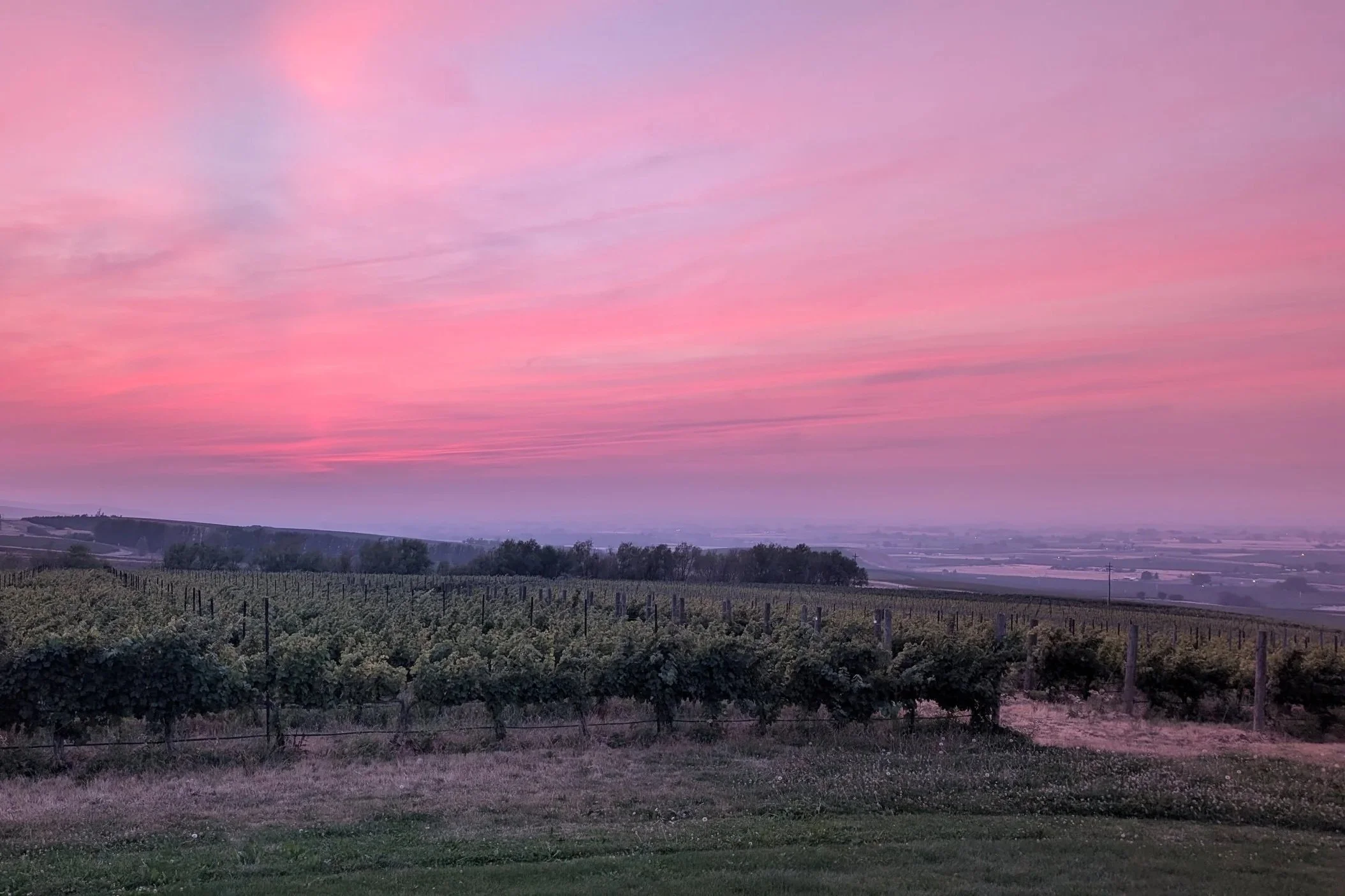 Exploring Washington State Wines… Finally!
