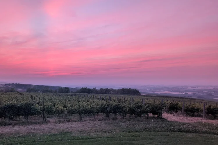 Exploring Washington State Wines… Finally!