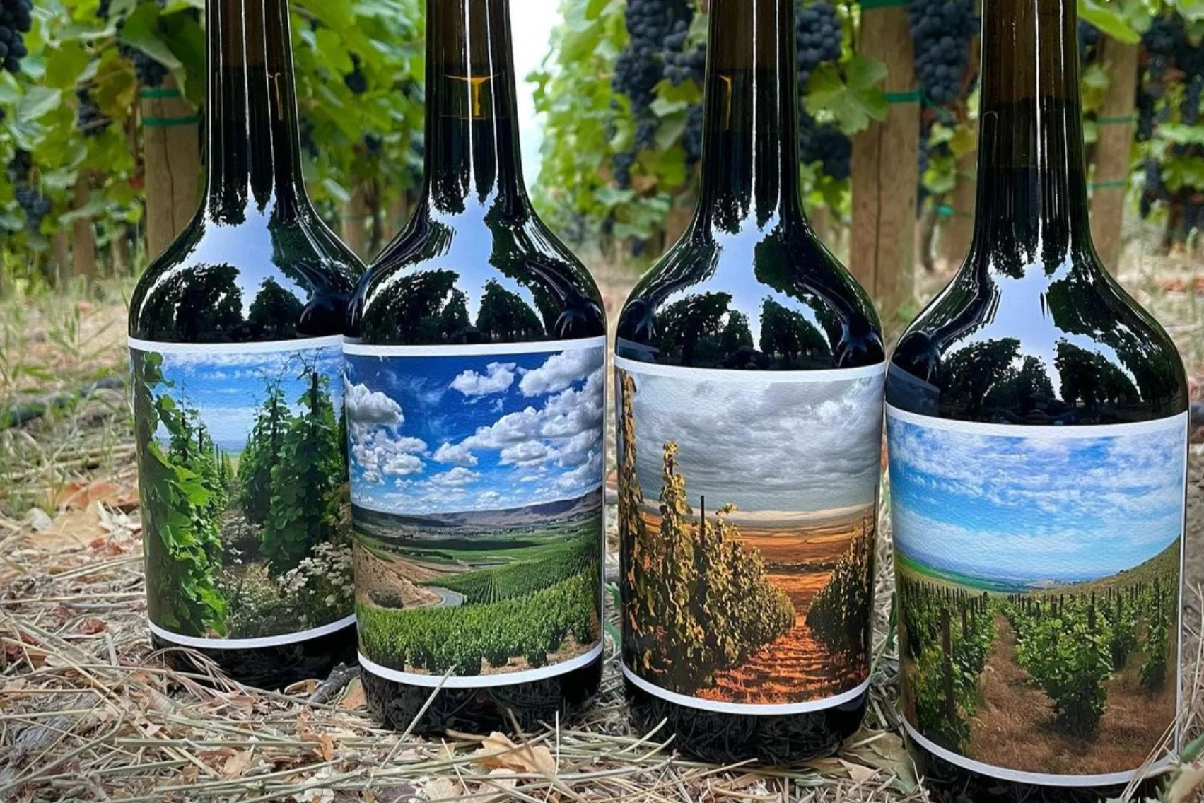 WeatherEye Is Washington’s Most Exciting Terroir