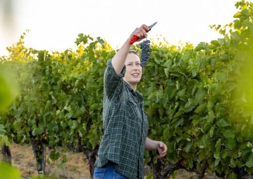 itä wines was founded in 2019 by Kelsey Albro Itämeri