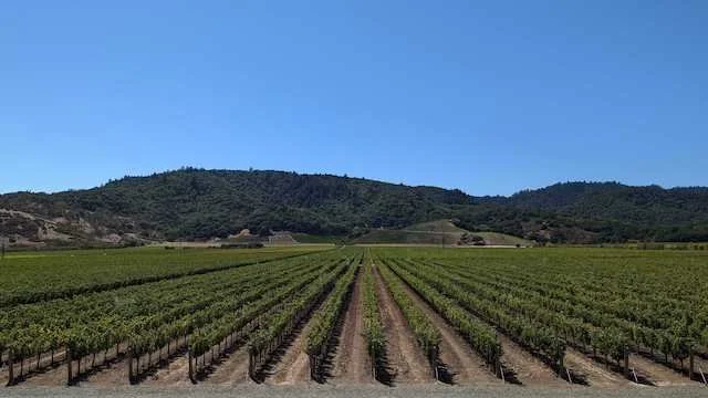 Dominus Napa Valley