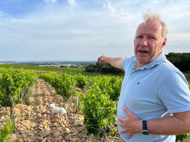 Rudi de Pins in the vineyards at Château de Montfaucon in Lirac, southern Rhône