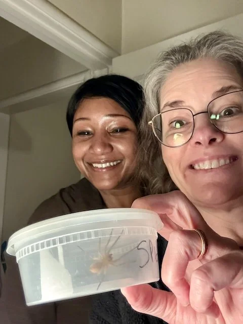 K&L Staff Members Kerry Kennell and Dejah Overby with the wolf spider that brought them together last Friday.