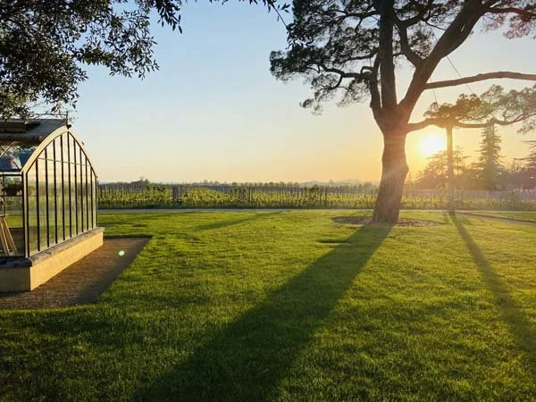 Sunset at Bordeaux's Cheval Blanc estate. Photo taken by K&L Wine Merchants staffer Gary Norton.
